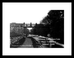 Ballinrobe      ~    Riverside Walk     ~    Co Mayo ......M213 D