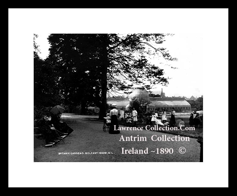 Belfast ~ Botanic Gardens ~ Co Antrim ~ Northern Ireland .....A 13 M