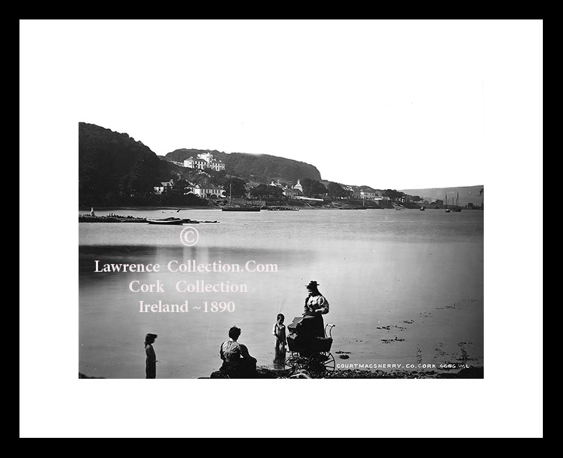Courtmacsherry Bay ~ Co Cork .....C630
