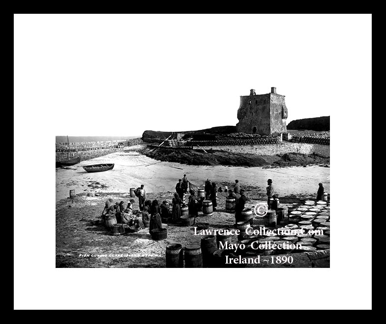 Clare Island ~ Grace O'Malley Castle ~ Gráinne Mhaol (Granuaile) ~ Fish Curing, Salted Herring Barrels ~ Co Mayo .....M217 E