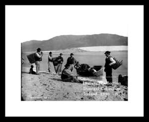 Donegal    ~   Fishermen  catching Herring in baskets  ~ Irish Life Series    Co Donegal.....L24A/316