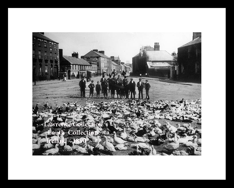 Dundalk ~ Market Day ~ Bird Market ~ Co Louth ...... L173 /492