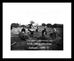 Traditional Farm Work of  Ireland     ~ Hay Making   ~    Cutting the Hay with Scythe   ~    Saving the Hay .......L18