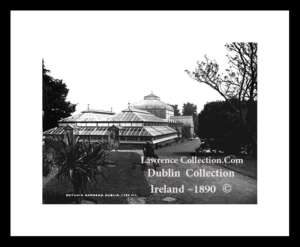 Glasnevin ~ Botanic Gardens ~ North County Dublin .....D755 A