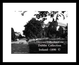 Glasnevin ~ Botanic Gardens ~ North County Dublin .....D755B