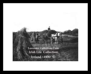Traditional Farm Work    ~  Hay Making  ~    "Gathering the Harvest" ......L18A