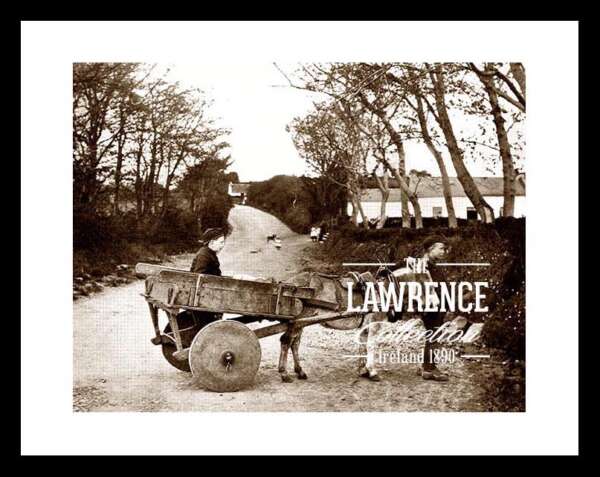 Irish Traditional  Modes of Transport   ~     Low Back cart   ~~  in the rear old times ......L23A