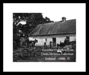 Traditional ~    Irish Farmyard Scene    ~  Thatched Cottage   ~     in the rear old times .....L4