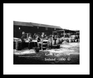 Kinsale    ~ Harbour    ~ Fish Curing    ~  Co Cork...C612 A