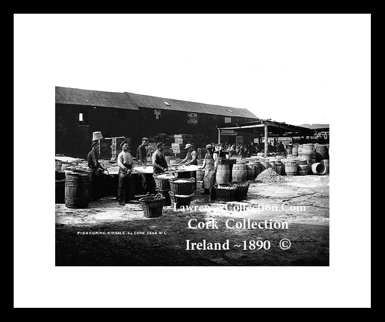 Kinsale ~ Harbour ~ Fish Curing ~ Co Cork...C612 A