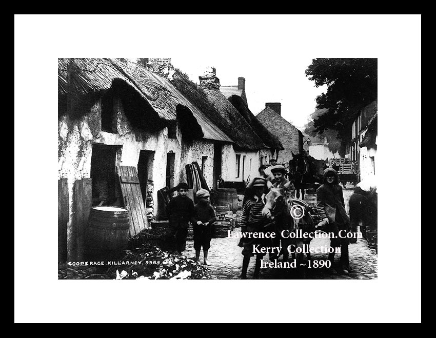 Killarney ~ Copperage ~ Co Kerry...... K145 F