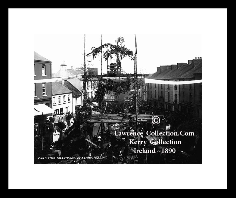 Killorglin ~ Puck Fair ~ Co Kerry...... K146 A