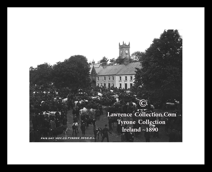 Moy Village ~ Fair Day ~ Co Tyrone ~ Northern Ireland .....T275 A