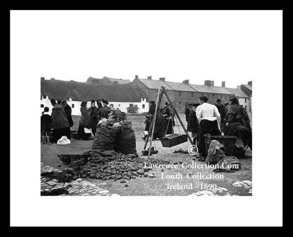 Traditional   Potato Market    ~    Drogheda    ~     Co Louth in the rear old times ...... L14