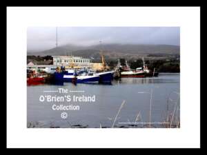 Castletown -Bearhaven (2012)  ~  Harbour   ~  Fishing Fleet   ~   Co Cork.....0043