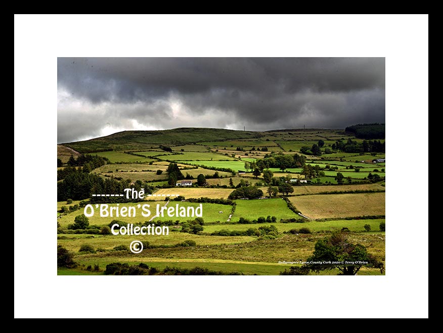 Ballynagree ~ Landscape ~ Co Cork....... 2797a