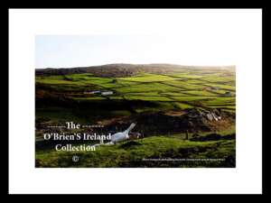 Beara Peninsula    ~   Landscape    ~      Co Cork.....0027