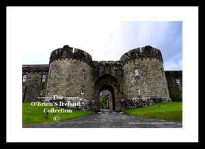 Glenstal Abbey ~ Is a Catholic Benedictine monastery of the Congregation of the Annunciation , It is dedicated to Saint Joseph and Saint Columba. located in Murroe ~ Co Limerick .....4282