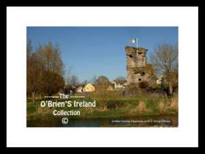 Golden   Village      ~     Medieval  Baurstookeen Castle Ruin    ~     River Suir     ~     Co Tipperary......0266