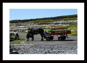 Inisheer Island ~ Inis Oirr ~ ‘Horse & Trap’ ~ Aran Islands ~ Co Galway .....4068