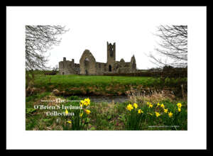 Kilmallock    ~     13th century Dominican Abbey (Est. 1291)      ~        Co Limerick ......7936