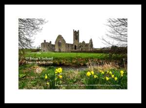 Kilmallock    ~     13th century Dominican Abbey (Est. 1291)      ~        Co Limerick ......7936