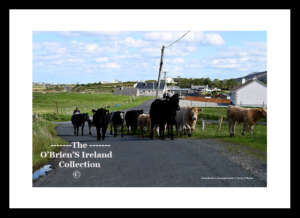Leenakeel      ~     "Heading for rich pastures"    ~     Co Donegal.....6800