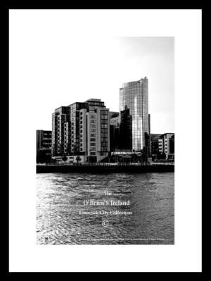 Limerick City     ~    Riverpoint    ~     The Bishops Quay   ~      Co Limerick(2019)......0357