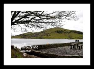 Lough Gur ~ Lakeshore Park & Visitor Centre ~ Co Limerick ......8357