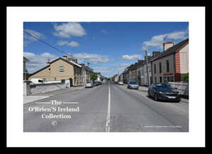 Portumna           Abbey Street          Portumna Demesne      Co Galway    0462