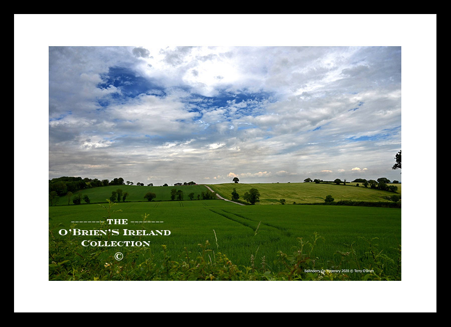 Irish Landscape          ~         Ballinderry            ~        Co Tipperary ....... 0311