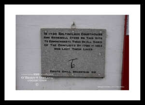 Baltinglass      ~     "1798"   Monument    ~    Co. Wicklow ....8352