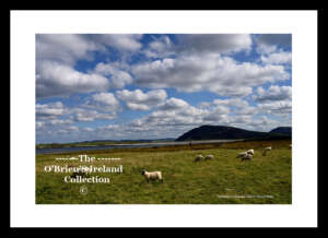 Irish Landscape    ~    Clonmany     ~    Co. Donegal..... 6788