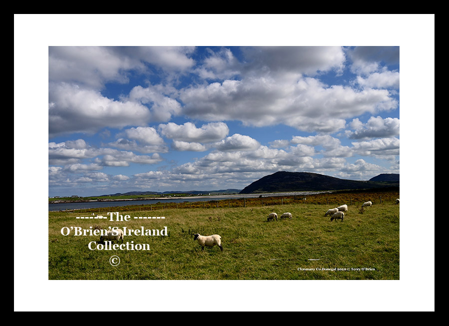 Irish Landscape    ~    Clonmany     ~    Co. Donegal..... 6788