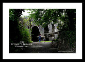 Drumsna    ~   Shannonside Walk     ~     River Shannon       ~       Co Leitrim .....4986