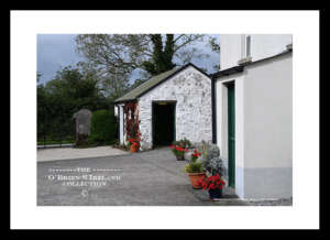 Dunganstown     ~      The Kennedy Homestead, birthplace of President John F. Kennedy’s great-grandfather Patrick Kennedy, celebrates the story of five generations of the Kennedy dynasty and is still today farmed by his descendants    ~   Co Wexford .....7403