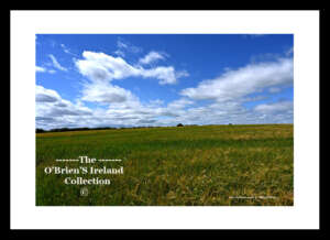 Irish Landscape    ~    Emo    ~     Co. Laois .....3968