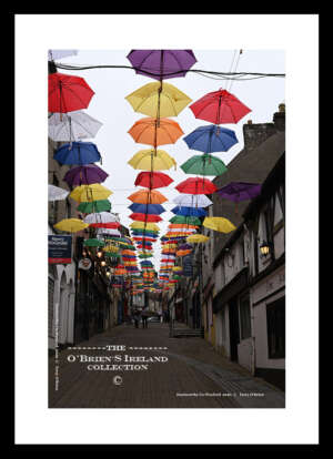 Enniscorthy    ~    Slaney Street    ~    Co Wexford .....7891