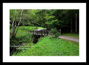 Glencar Waterfall     ~    Co Leitrim ......7260