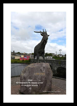 Killorglin  ~    "King Puck" is a Statue (unveiled 2001) to the country’s oldest festival, the Puck Fair. dated back as 1613  Co.Kerry.....2353