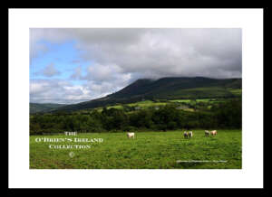 Irish Landscape        ~       Killoscully       ~      Co.Tipperary ......4297