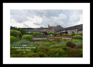 Mount Melleray     ~    Garden     ~      Mount Melleray Abbey is a community of Cistercian (Trappist)monks. The monastery is situated on the slopes of the Knockmealdown mountains in   ~   Co Waterford .....1018
