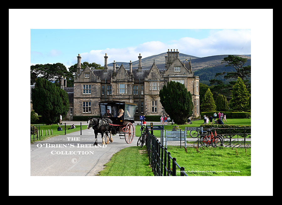 Muckross House ~ Muckross House was built between 1839 and 1843 for Henry Arthur Herbert and designed by the eminent architect of the day William Burns in the Neo-Tudor style. ~ Killarney ~ Co.Kerry.....4479