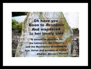 Rathdrum    ~    "Charles Stewart Parnell"    ~ "Oh have you been to Avondale and wandered in Her lonely Vale   ~   Monument    ~    Co. Wicklow......8105