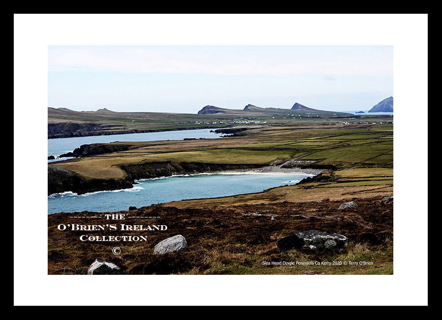 Irish Landscape      ~   Slea Head     ~     Co.Kerry.....1339