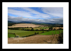 Irish Landscape    ~   Tinahely    ~    Co Wicklow .....8186