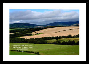 Irish Landscape    ~     Tinahely   ~    Co. Wicklow .....8191
