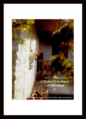 Bunratty Folk Park   ~   Loop Head Cottage   ~   "Hen in window"    ~   Bunratty  ~    Co Clare ...... (016)