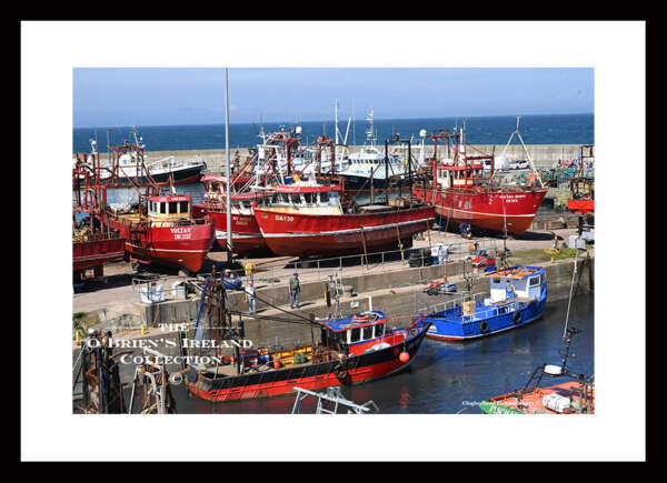 Clogherhead   ~   Pier   ~   Fishing Fleet     ~     Co Louth .....3489