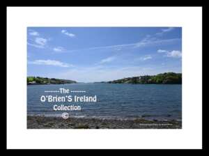 Reen  ~   Looking towards  the Sea   ~   Co Cork....6175